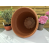 très jolis pots coupe deco plastique modèle PEGASO P44,
