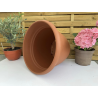 très jolis pots coupe deco plastique modèle PEGASO P37,