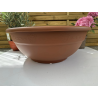très jolis pots coupe deco plastique modèle ANDROMEDA T60,