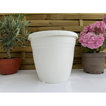 très jolis pots coupe deco...