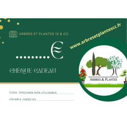 CHEQUE CADEAU