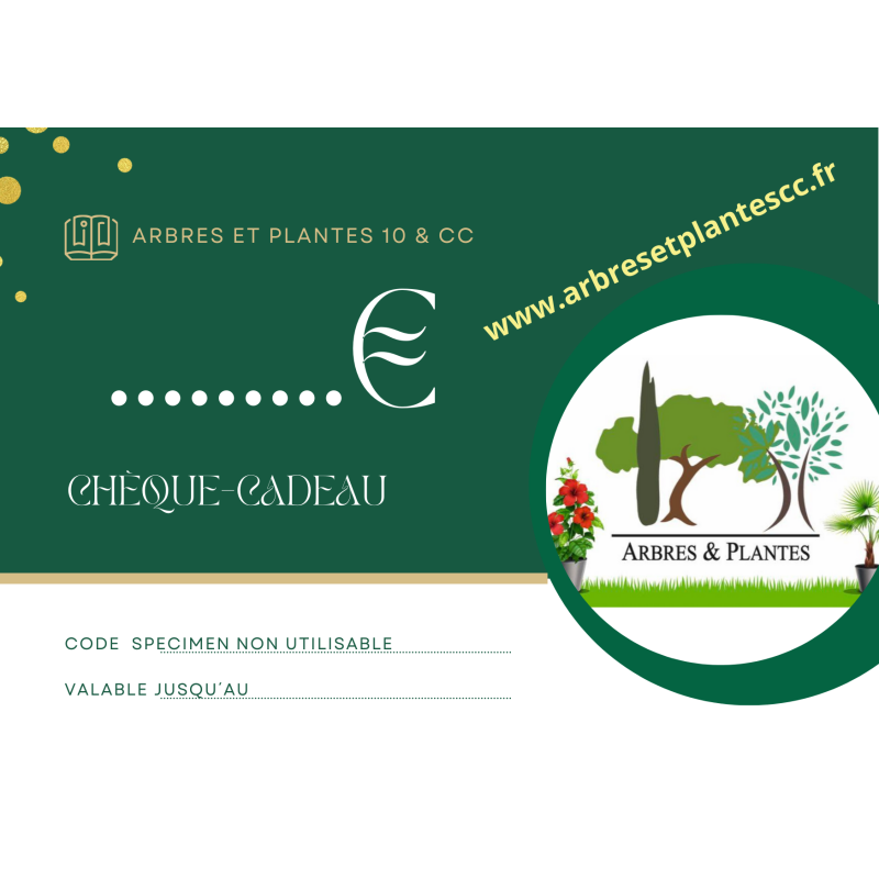 CHEQUE CADEAU
