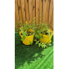 SUBLIMES MILLPERTUIS (millepertuis hypericum x moserianum)